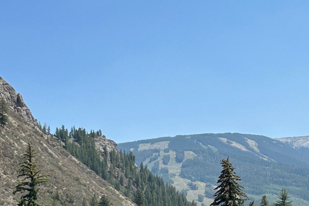 Forested hillsides above Avon with the ski mountain rising across the valley.